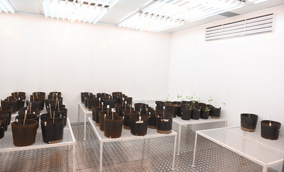 UENP instala equipamento de cultivo controlado de plantas para auxiliar em pesquisas