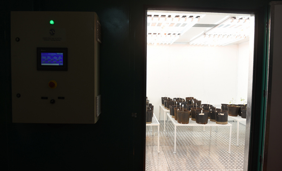 UENP instala equipamento de cultivo controlado de plantas para auxiliar em pesquisas