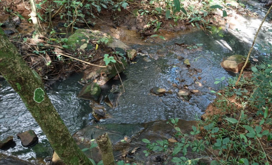 Com aumento de 60% nas denúncias, IAT aperta fiscalização contra o lançamento clandestino de dejetos da suinocultura