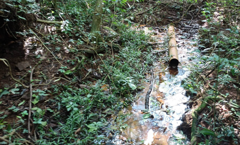 Com aumento de 60% nas denúncias, IAT aperta fiscalização contra o lançamento clandestino de dejetos da suinocultura