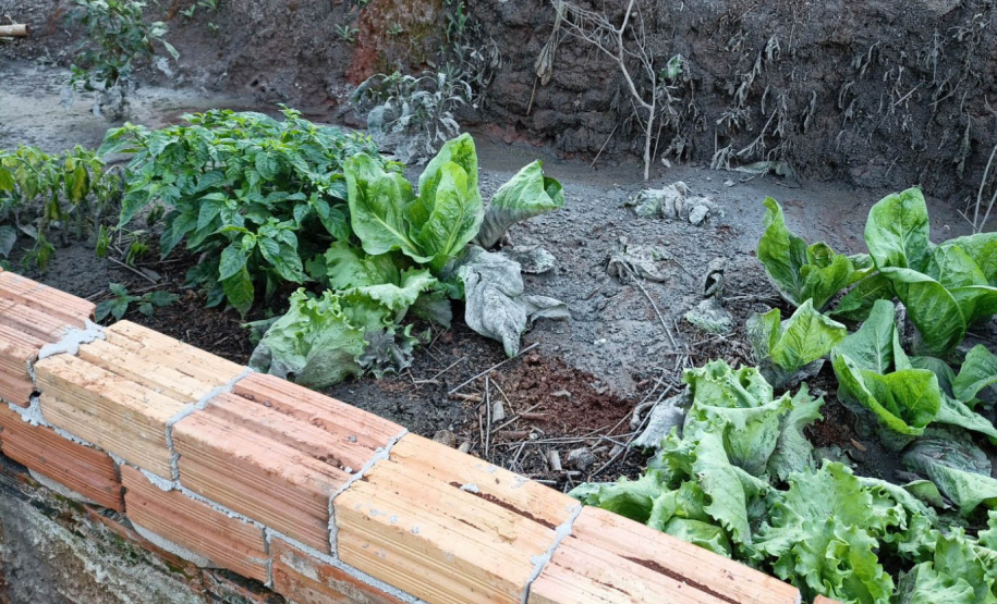 Com aumento de 60% nas denúncias, IAT aperta fiscalização contra o lançamento clandestino de dejetos da suinocultura