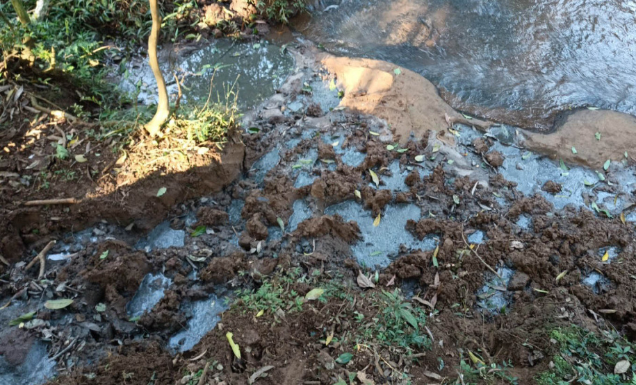 Com aumento de 60% nas denúncias, IAT aperta fiscalização contra o lançamento clandestino de dejetos da suinocultura