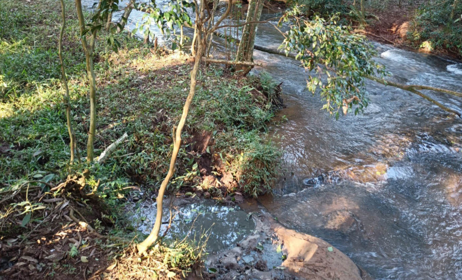 Com aumento de 60% nas denúncias, IAT aperta fiscalização contra o lançamento clandestino de dejetos da suinocultura