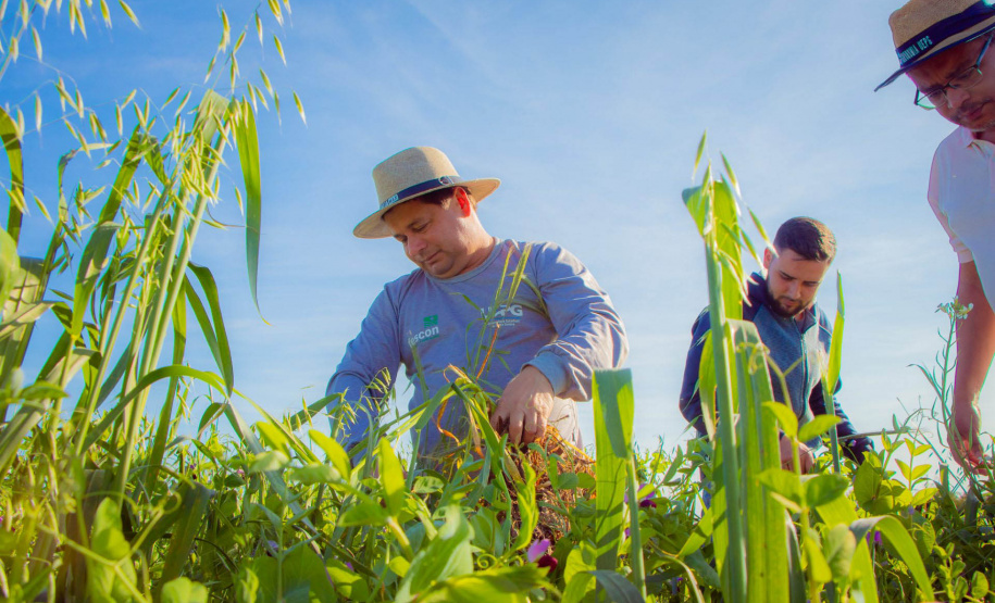 Fazenda Escola da UEPG reduz emissão de 400 toneladas de carbono por safra