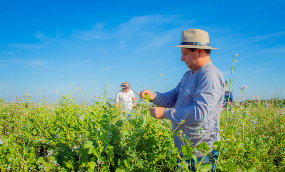 Fazenda Escola da UEPG reduz emissão de 400 toneladas de carbono por safra