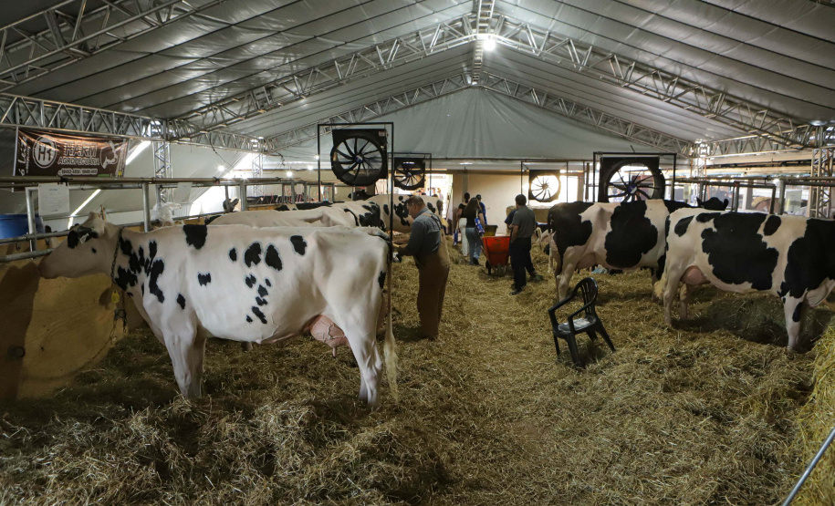 Instituto Água e Terra concedeu a Licença Ambiental de Operação que permite o início da construção de uma nova sede da Frísia Cooperativa Agroindustrial em Ponta Grossa
