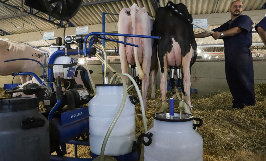 Instituto Água e Terra concedeu a Licença Ambiental de Operação que permite o início da construção de uma nova sede da Frísia Cooperativa Agroindustrial em Ponta Grossa