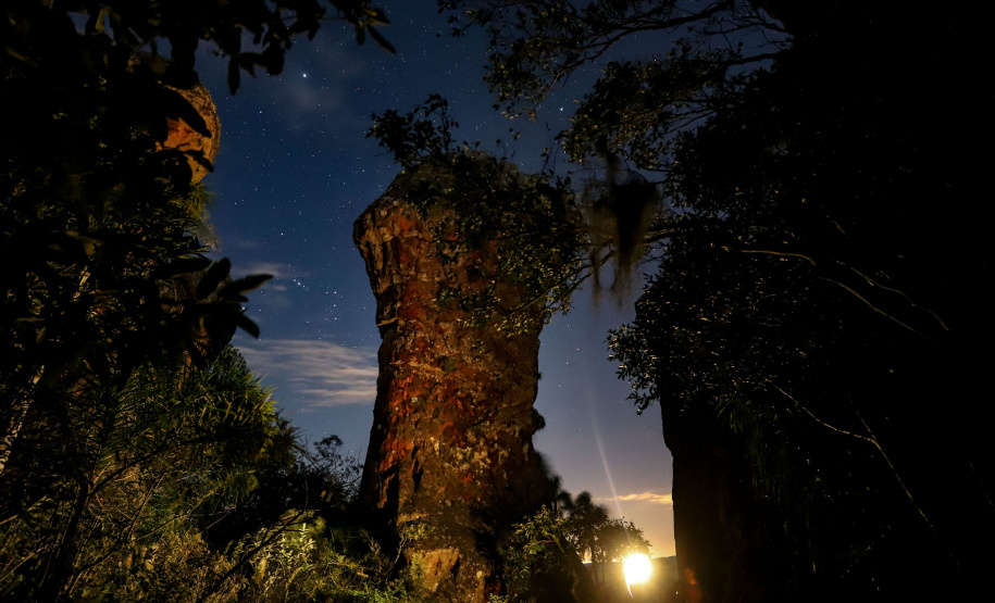 Boletim Turistas Estrangeiros