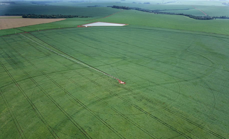 Secretaria da Agricultura divulga nova estimativa da safra 2022/23