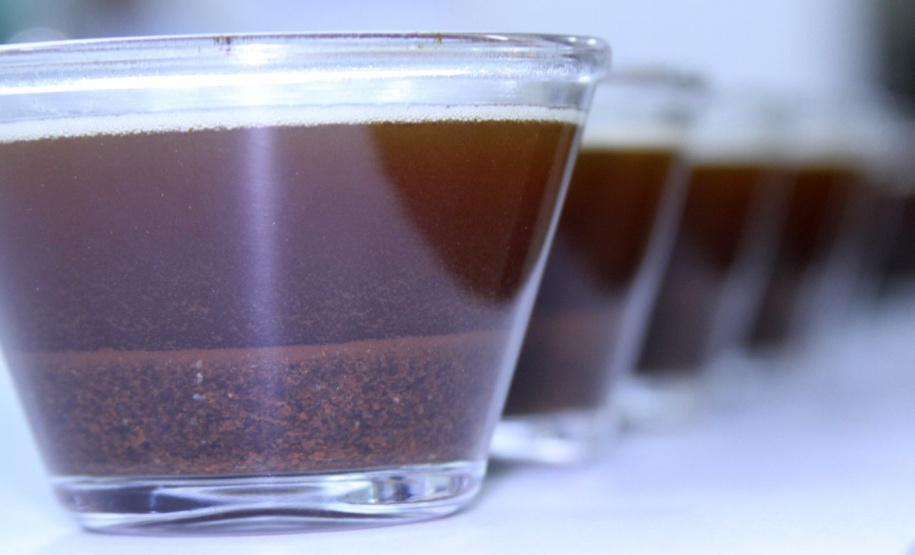 Abertas as inscrições para o prêmio Café Qualidade Paraná 2023