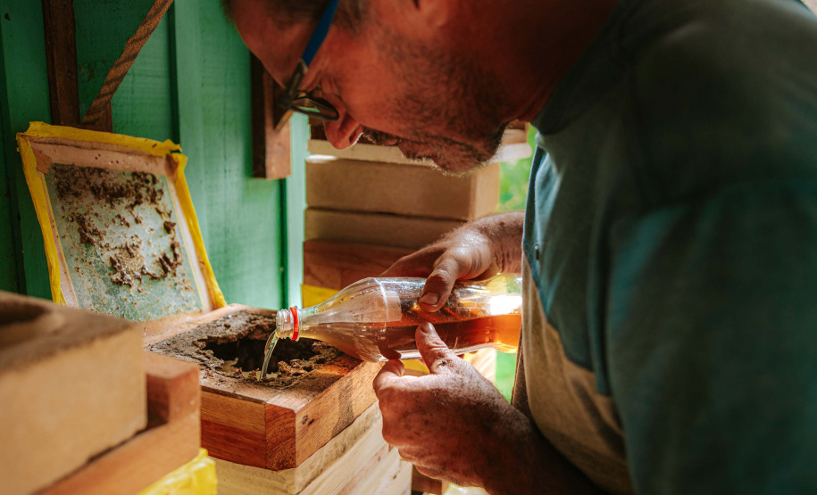 O produtor Erich de Barros Lange participou da capacitação realizada pelo Tecpar e já instalou caixas de abelhas na sua chácara em Morretes.