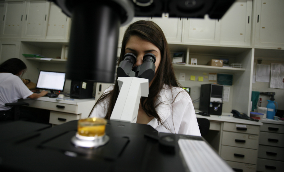 Capes autoriza mais seis doutorado nas universidades estaduais do Paraná