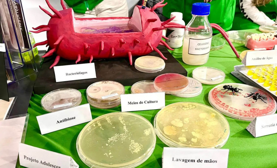 UEL na SBPC: Vírus, bactérias e fungos “do bem” infectam estande da 75ª Reunião Anual, em Curitiba