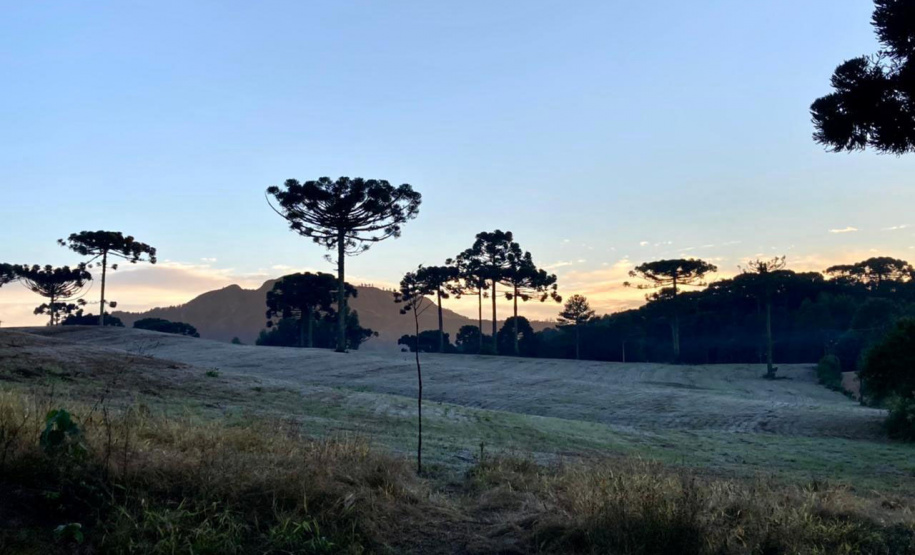 Para ajudar produtores, IDR-Paraná lança aplicativo que faz contagem das horas de frio