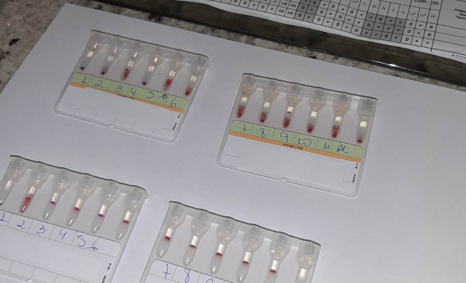 Tratamento especializado ofertado pelo Hemepar amplia qualidade de vida de pacientes com Anemia Falciforme e Talassemia