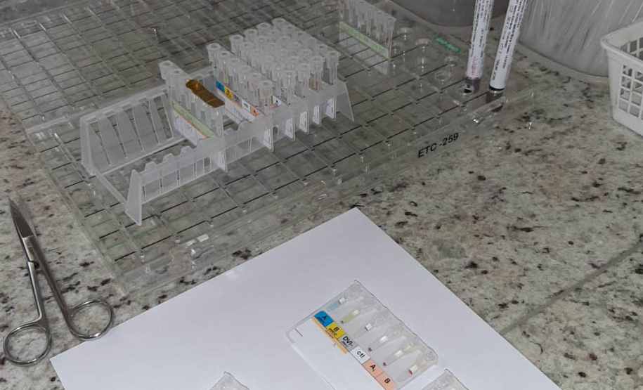 Tratamento especializado ofertado pelo Hemepar amplia qualidade de vida de pacientes com Anemia Falciforme e Talassemia