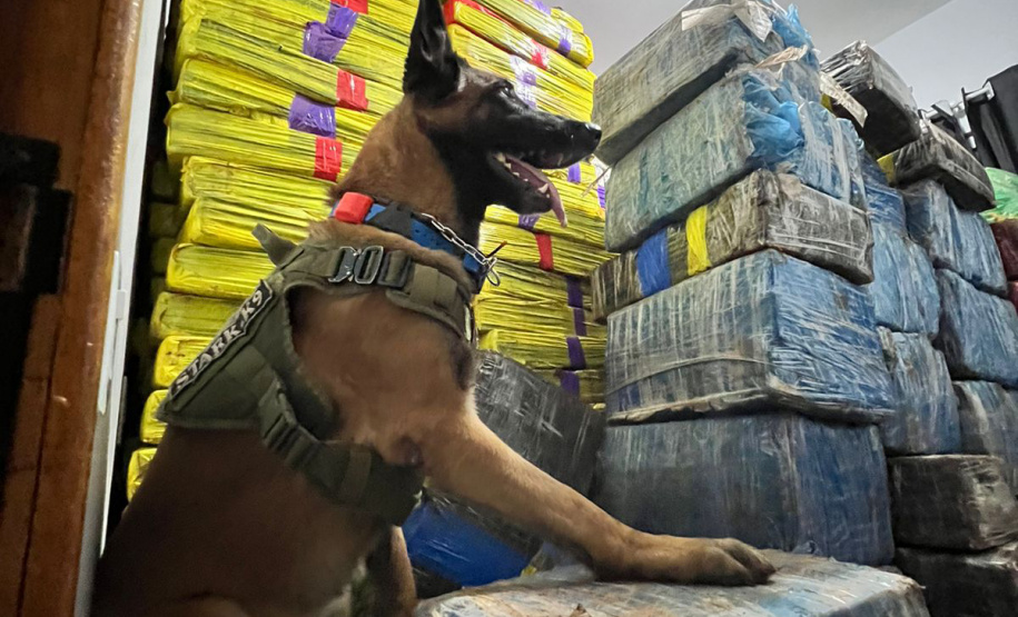 Polícia Militar apreende quase quatro toneladas de drogas em Pato Bragado