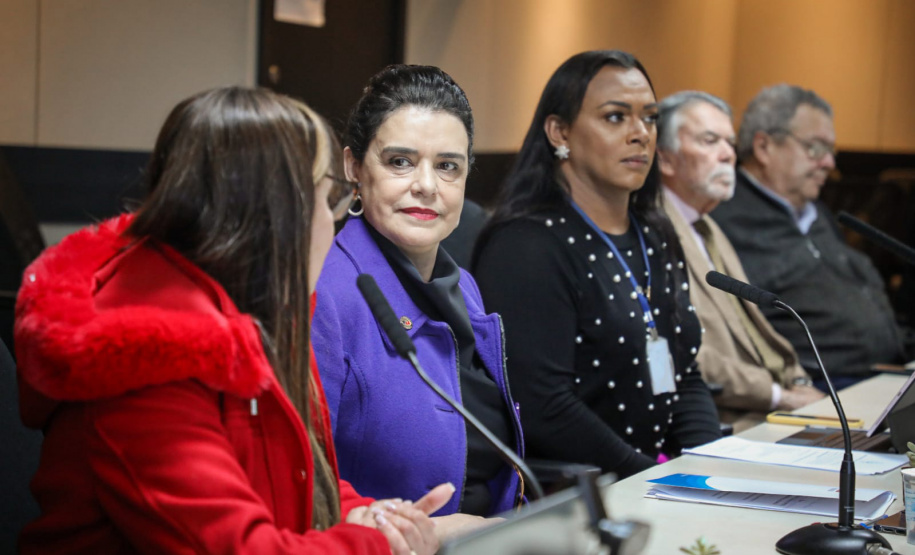 Estado empossa novos membros no Conselho Permanente dos Direitos Humanos do Paraná