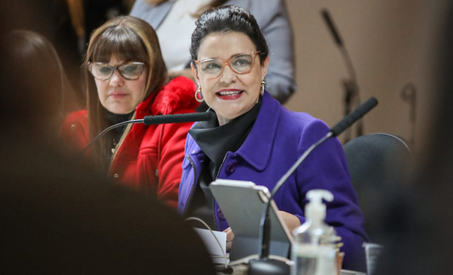 Estado empossa novos membros no Conselho Permanente dos Direitos Humanos do Paraná