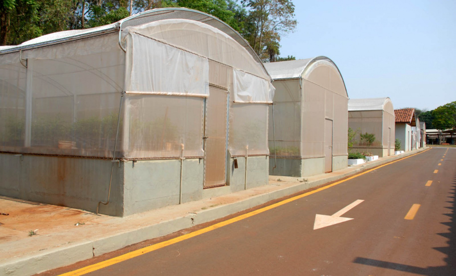 No dia da ciência e do pesquisador, IDR- Paraná enaltece conquistas