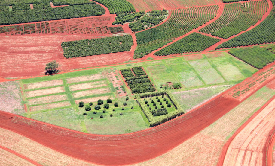 No dia da ciência e do pesquisador, IDR- Paraná enaltece conquistas
