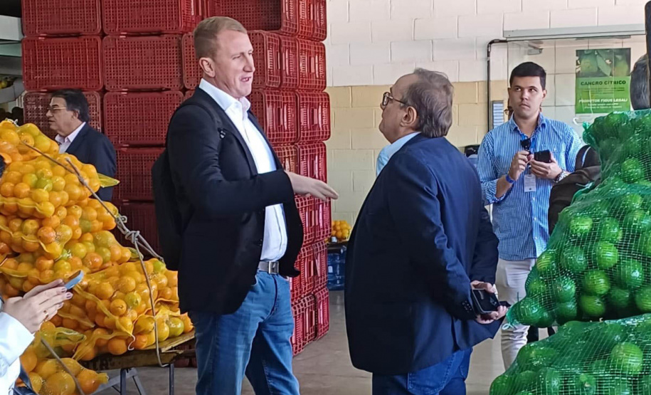 FAO e Ceasas vão firmar cooperação para desenvolver abastecimento