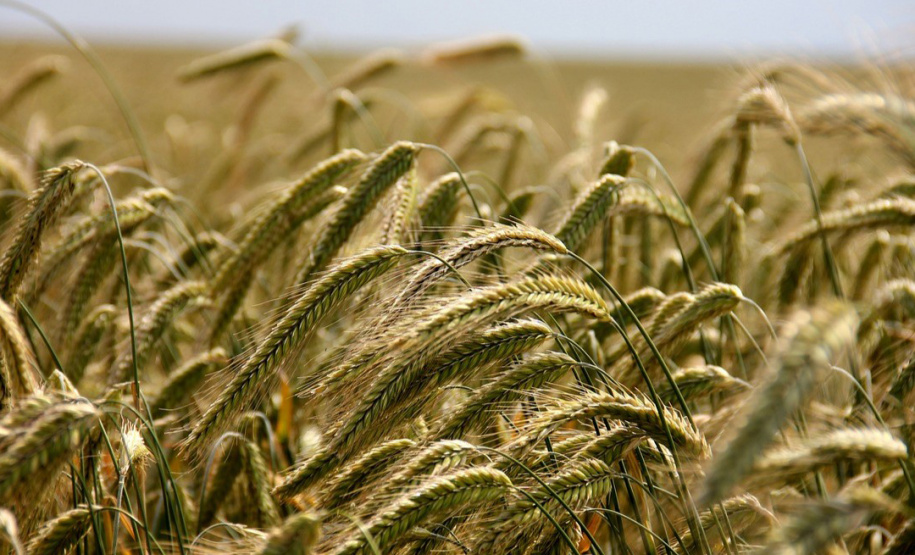 Boletim Agrometeorológico