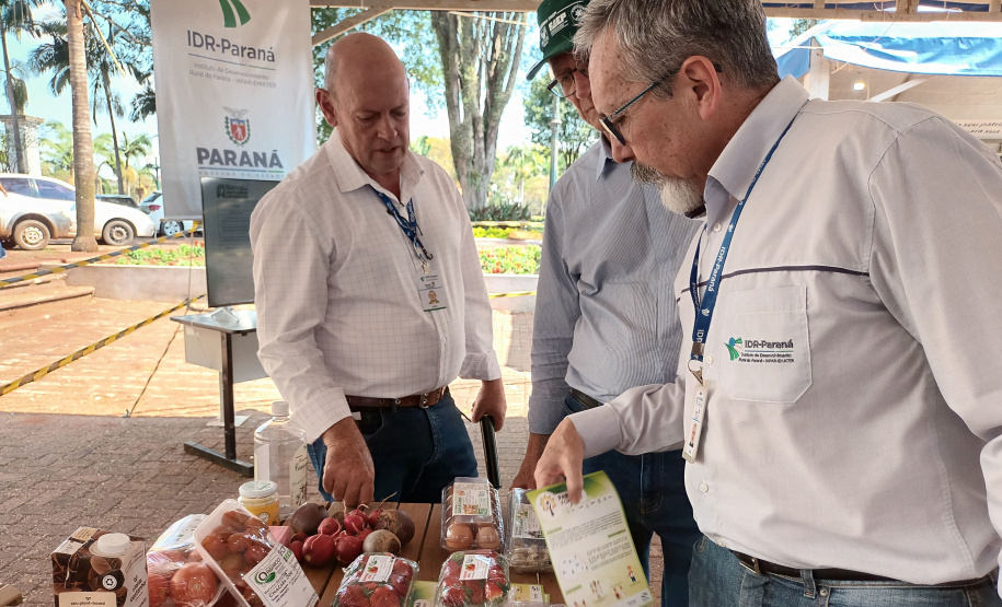Eventos em Campo Mourão incentivam a produção orgânica e a segurança alimentar