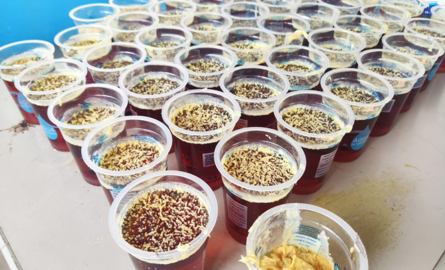 Mulheres de União da Vitória aprendem a fazer sabão ecológico