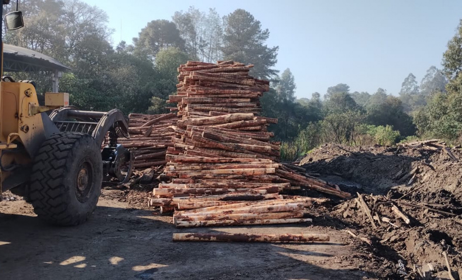 Operação da Receita Estadual fecha empresas por irregularidades fiscais na região de Guarapuava