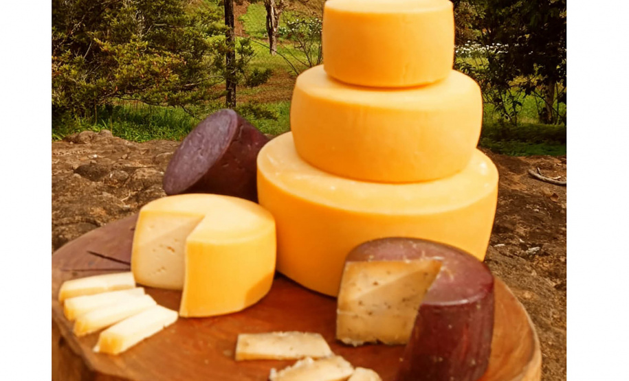 Queijaria de Francisco Beltrão é a primeira do Paraná a receber selo carbono neutro