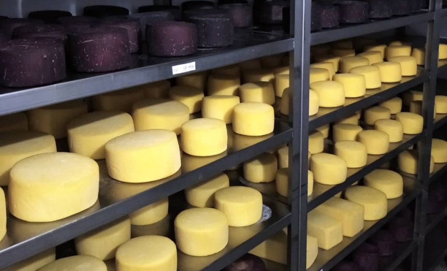 Queijaria de Francisco Beltrão é a primeira do Paraná a receber selo carbono neutro