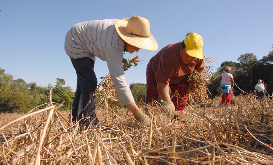 Coopera Paraná: Governo publica edital de R$ 31,5 milhões para apoiar agricultura familiar