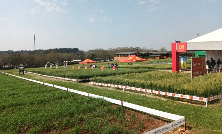 Estado reforça convite para municípios aderirem a sistema que elimina limites para venda de produtos agroindustrializados