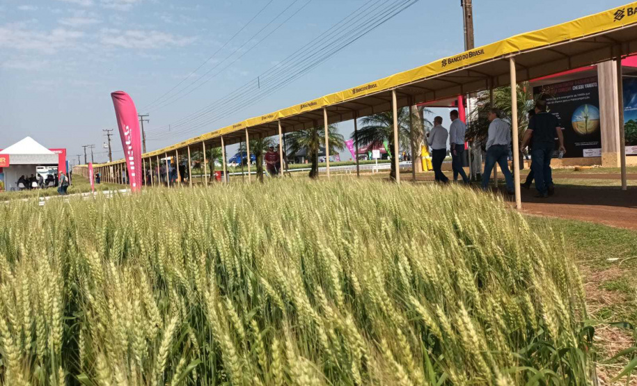 Estado reforça convite para municípios aderirem a sistema que elimina limites para venda de produtos agroindustrializados