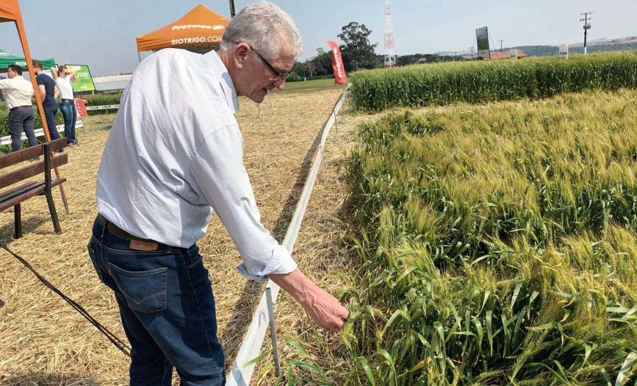 Estado reforça convite para municípios aderirem a sistema que elimina limites para venda de produtos agroindustrializados
