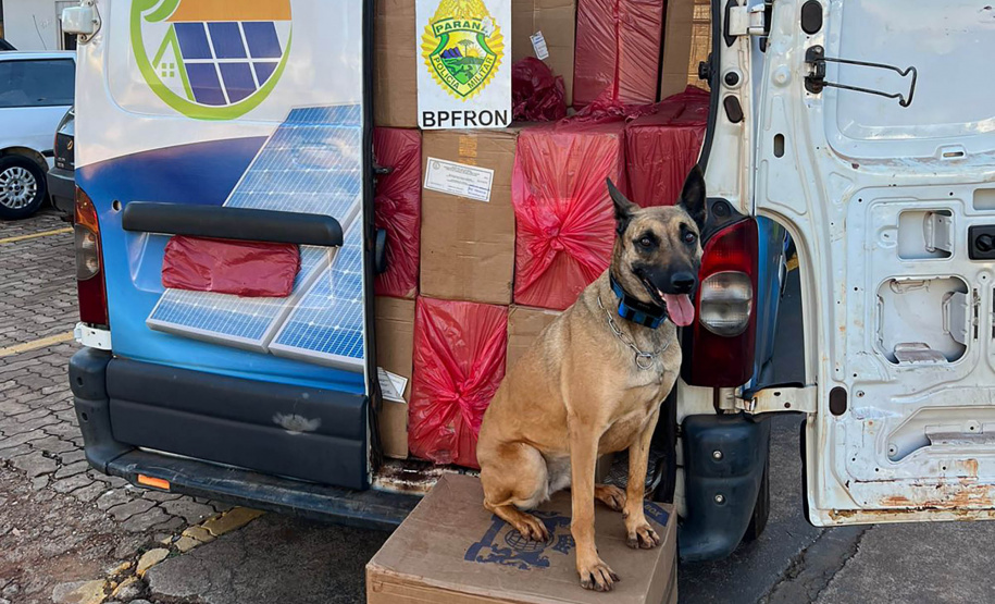 BPFron apreende 100 caixas de cigarro em Mercedes