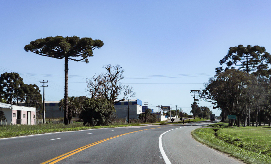 Lote 1 vai modernizar as conexões entre Lapa, Araucária, Porto Amazonas, Campo Largo e Curitiba