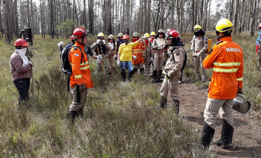 Brigadistas Voluntários