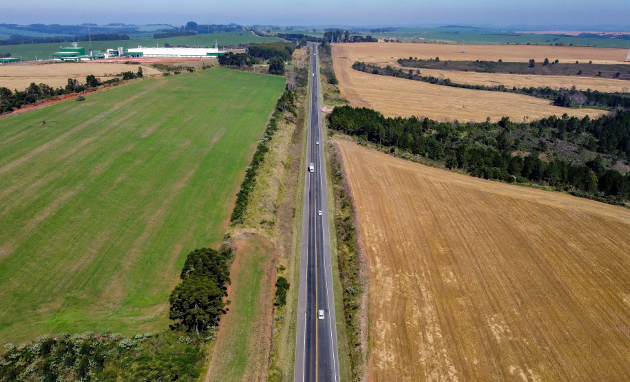 Com protagonismo ambiental, Paraná é o terceiro estado mais competitivo do Brasil
