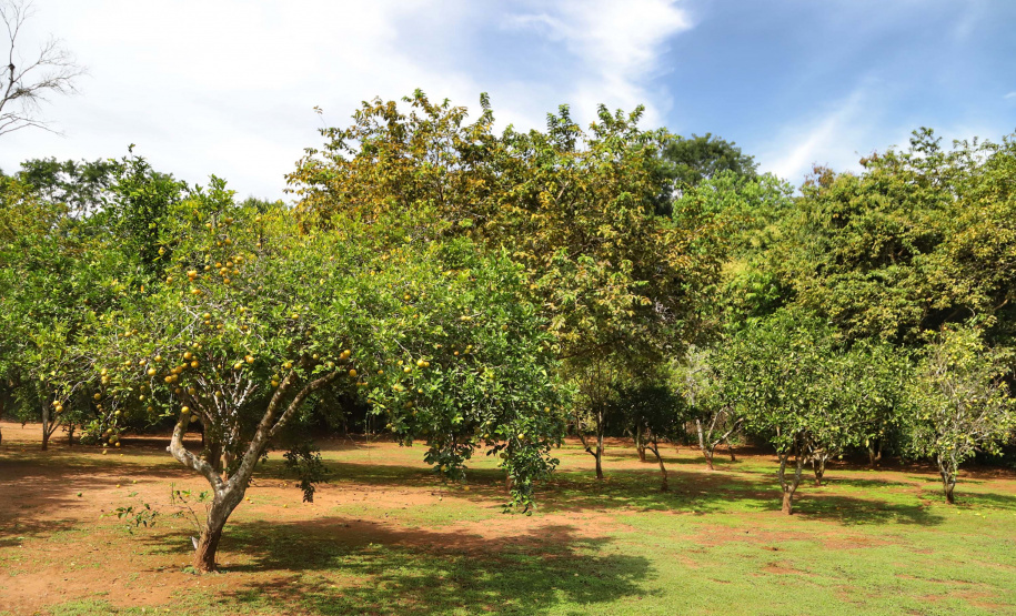 Paraná lança plataforma interativa com riscos de eventos climáticos nos municípios