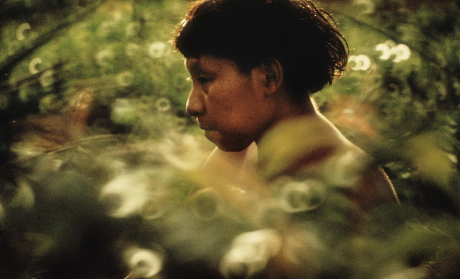 Nova mostra no Museu Paranaense