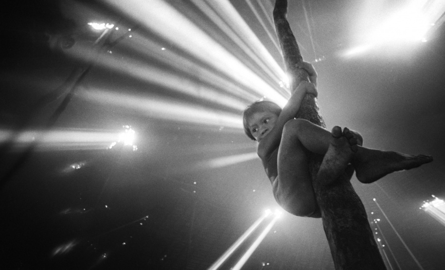 Nova mostra no Museu Paranaense