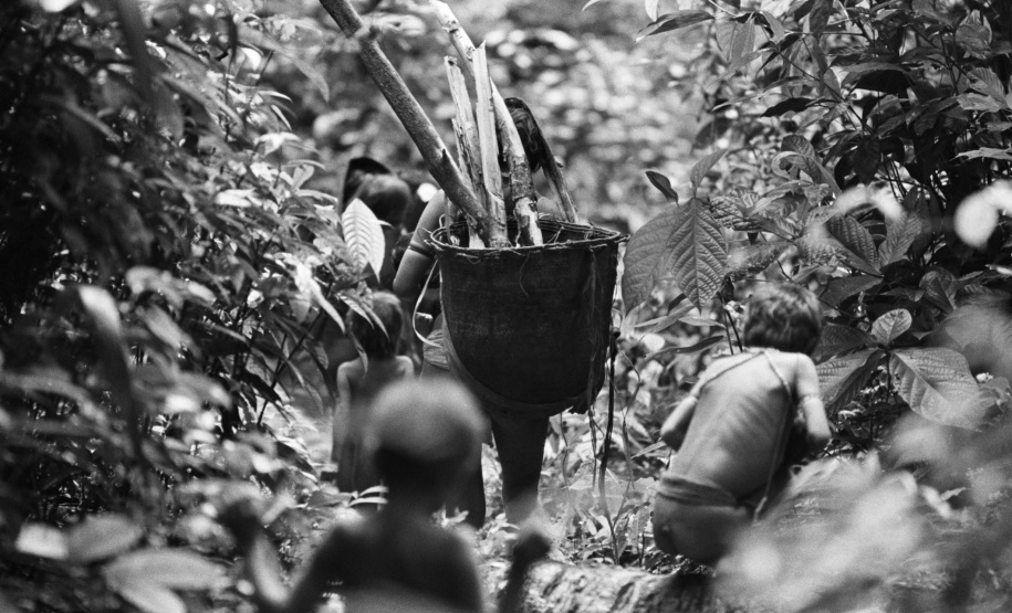 Nova mostra no Museu Paranaense