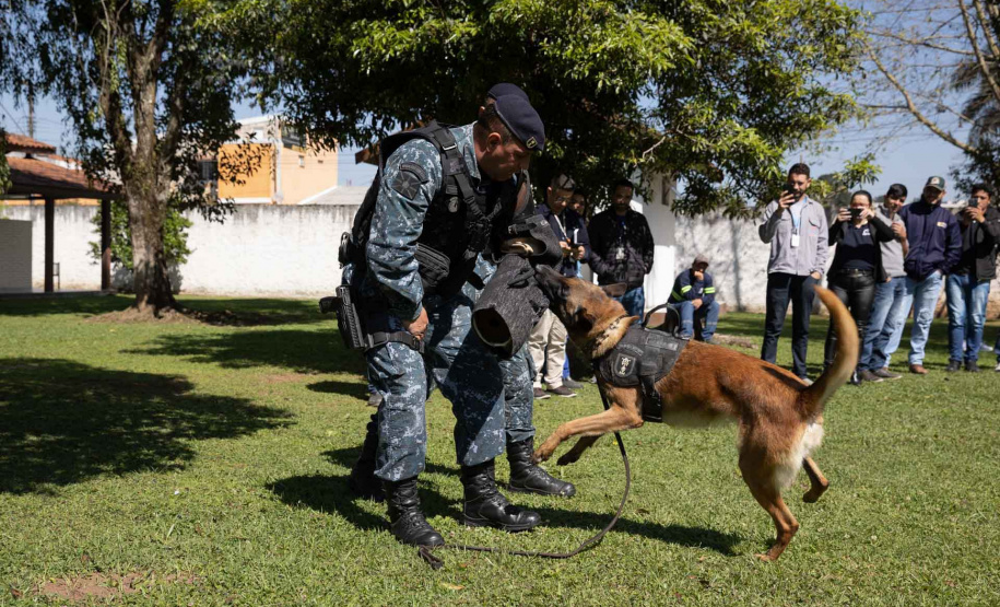 Ataque de cães é principal causa de acidente de trabalho dos leituristas da Sanepar