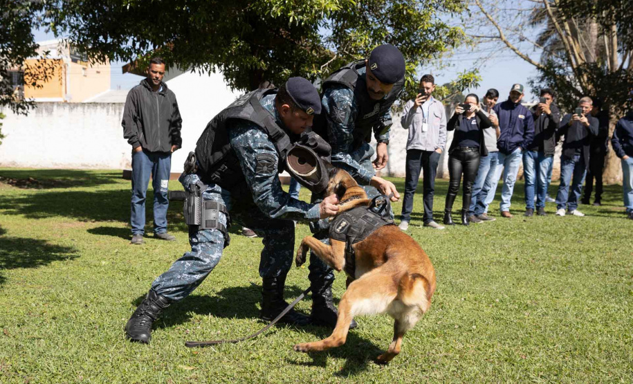 Ataque de cães é principal causa de acidente de trabalho dos leituristas da Sanepar