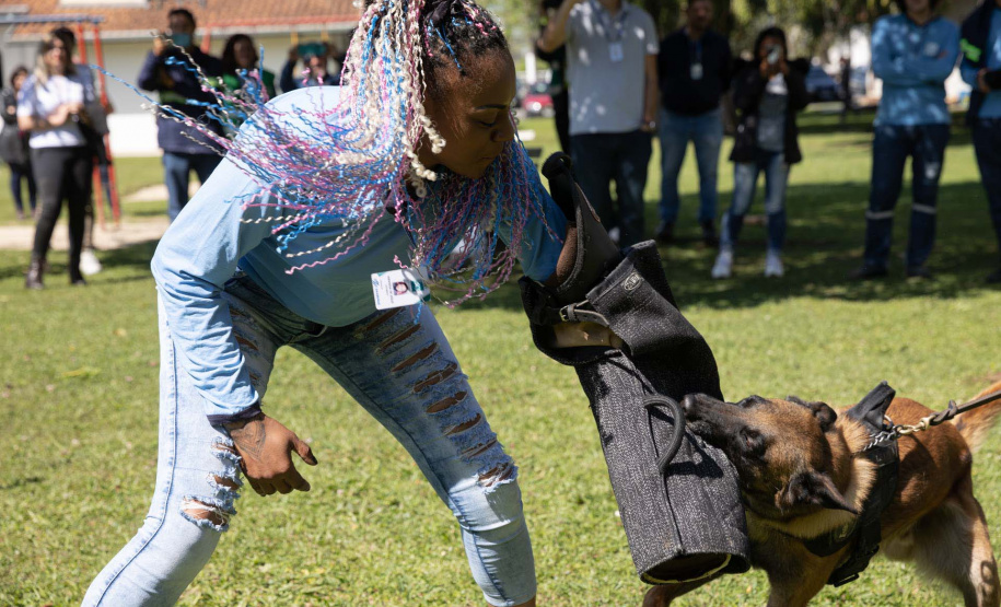 Ataque de cães é principal causa de acidente de trabalho dos leituristas da Sanepar