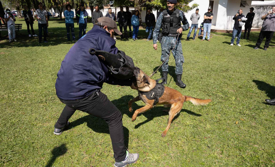 Ataque de cães é principal causa de acidente de trabalho dos leituristas da Sanepar