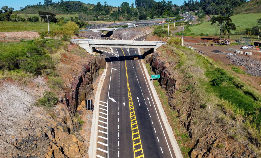 Com protagonismo ambiental, Paraná é o terceiro estado mais competitivo do Brasil