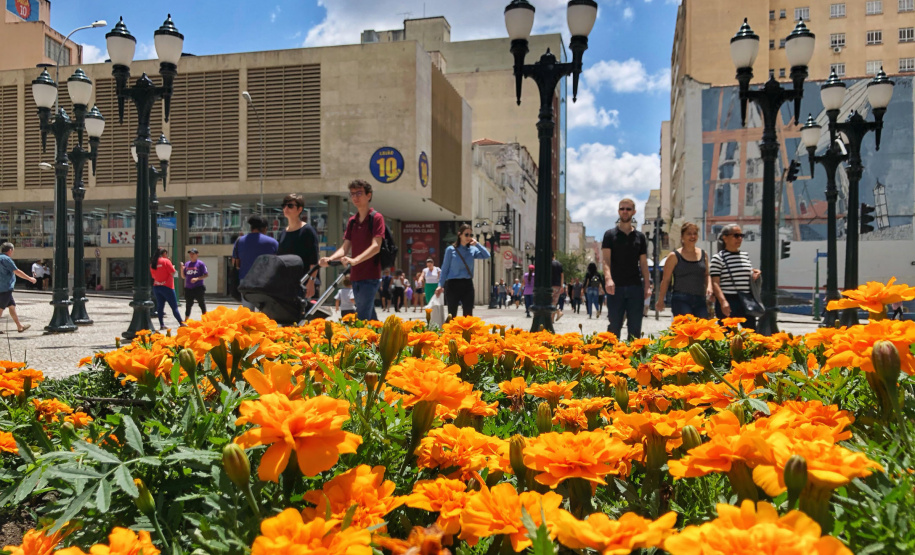 Paraná lidera ranking nacional de serviços urbanos e qualidade de vida